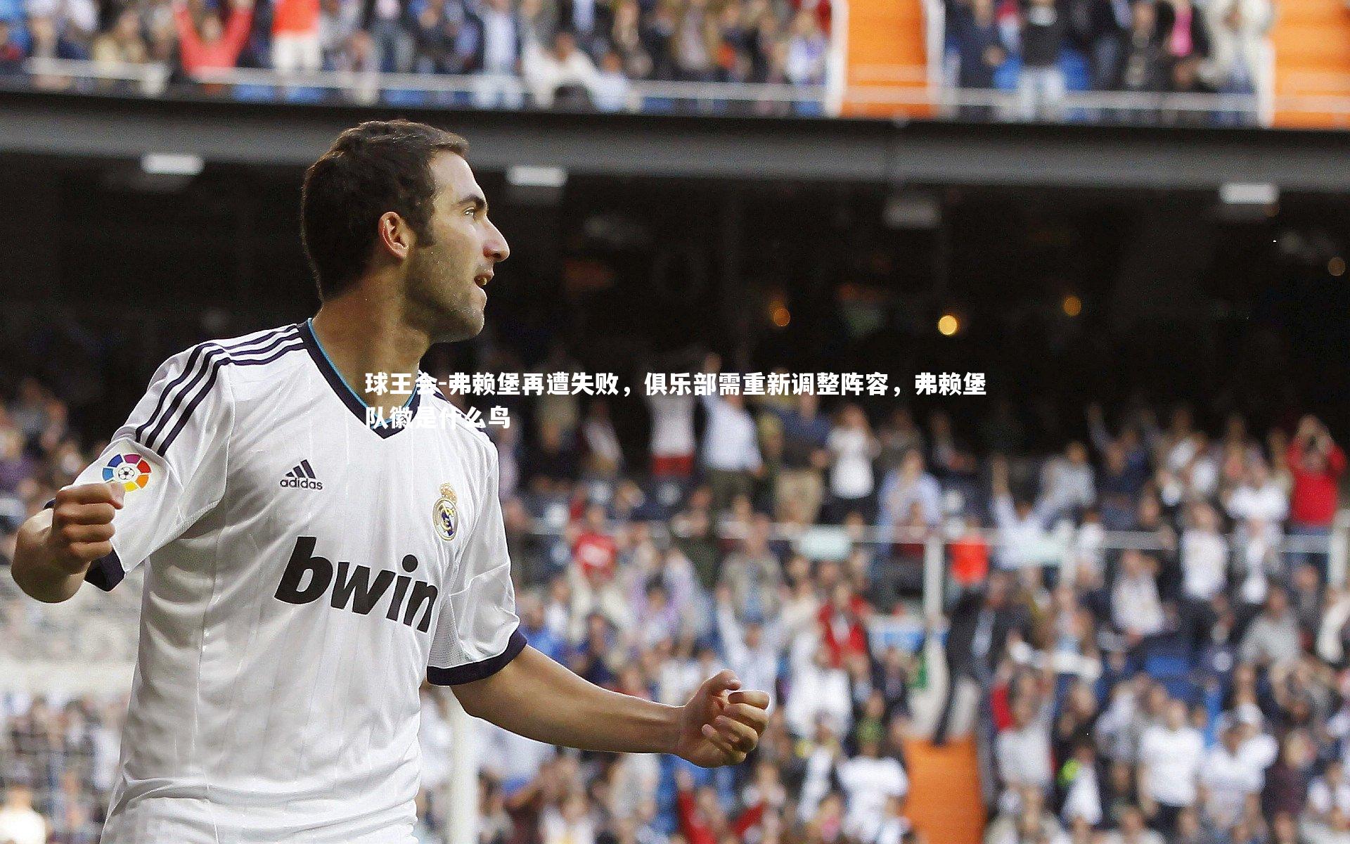 球王会-弗赖堡再遭失败，俱乐部需重新调整阵容，弗赖堡队徽是什么鸟